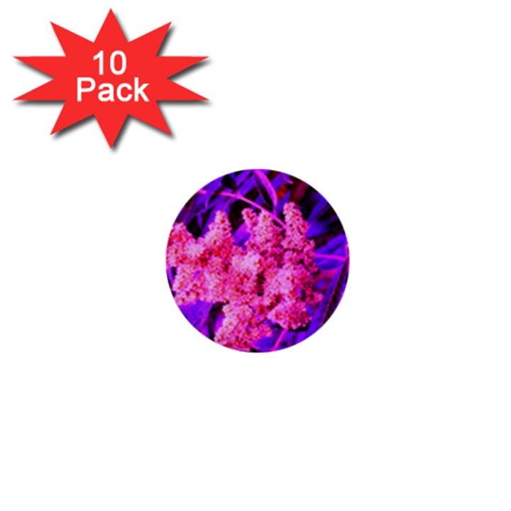 Pink and Blue Sideways Sumac 1  Mini Buttons (10 pack) 