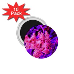 Pink And Blue Sideways Sumac 1 75  Magnets (10 Pack)  by okhismakingart