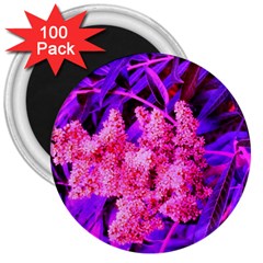 Pink And Blue Sideways Sumac 3  Magnets (100 Pack) by okhismakingart