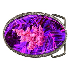 Pink And Blue Sideways Sumac Belt Buckles by okhismakingart