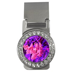 Pink And Blue Sideways Sumac Money Clips (cz)  by okhismakingart