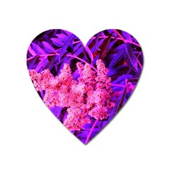 Pink And Blue Sideways Sumac Heart Magnet by okhismakingart