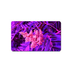 Pink And Blue Sideways Sumac Magnet (name Card) by okhismakingart