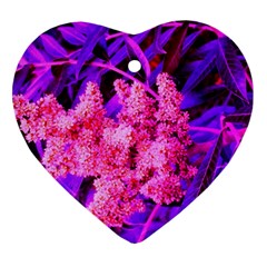 Pink And Blue Sideways Sumac Heart Ornament (two Sides) by okhismakingart