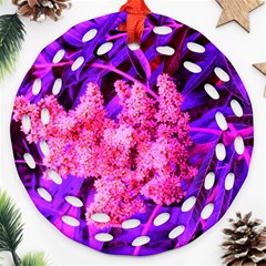 Pink And Blue Sideways Sumac Ornament (round Filigree) by okhismakingart