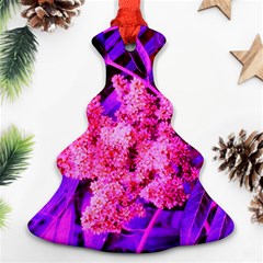 Pink And Blue Sideways Sumac Ornament (christmas Tree)  by okhismakingart