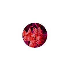 Pink Sideways Sumac 1  Mini Buttons by okhismakingart