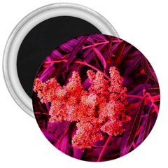 Pink Sideways Sumac 3  Magnets by okhismakingart