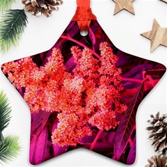 Pink Sideways Sumac Ornament (star) by okhismakingart