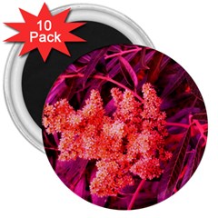 Pink Sideways Sumac 3  Magnets (10 Pack) 