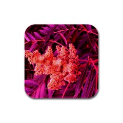 Pink Sideways Sumac Rubber Square Coaster (4 Pack)  by okhismakingart