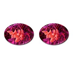 Pink Sideways Sumac Cufflinks (oval) by okhismakingart