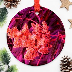 Pink Sideways Sumac Round Ornament (two Sides) by okhismakingart