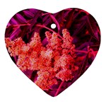 Pink Sideways Sumac Heart Ornament (Two Sides) Back