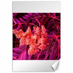 Pink Sideways Sumac Canvas 12  X 18  by okhismakingart