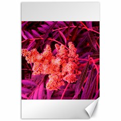 Pink Sideways Sumac Canvas 24  X 36  by okhismakingart