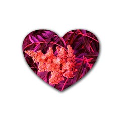 Pink Sideways Sumac Rubber Coaster (heart)  by okhismakingart