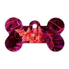 Pink Sideways Sumac Dog Tag Bone (one Side) by okhismakingart