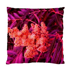 Pink Sideways Sumac Standard Cushion Case (two Sides) by okhismakingart