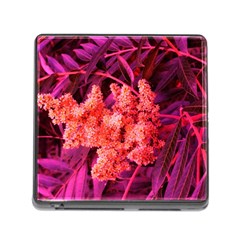 Pink Sideways Sumac Memory Card Reader (square 5 Slot) by okhismakingart