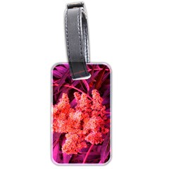 Pink Sideways Sumac Luggage Tags (two Sides) by okhismakingart