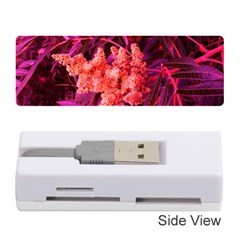 Pink Sideways Sumac Memory Card Reader (stick) by okhismakingart