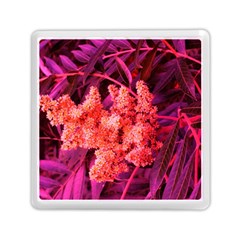 Pink Sideways Sumac Memory Card Reader (square) by okhismakingart