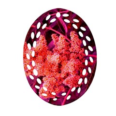 Pink Sideways Sumac Ornament (oval Filigree) by okhismakingart