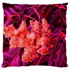 Pink Sideways Sumac Large Cushion Case (two Sides) by okhismakingart