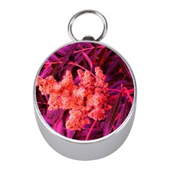 Pink Sideways Sumac Mini Silver Compasses by okhismakingart