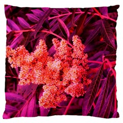 Pink Sideways Sumac Standard Flano Cushion Case (one Side) by okhismakingart