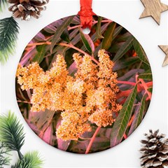 Pale Yellow And Green Sideways Sumac Ornament (round) by okhismakingart