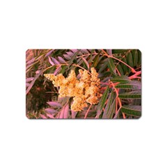 Pale Yellow And Green Sideways Sumac Magnet (name Card) by okhismakingart