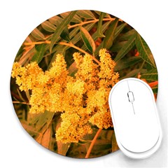 Yellow Sideways Sumac Round Mousepads by okhismakingart