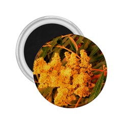 Yellow Sideways Sumac 2 25  Magnets by okhismakingart