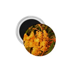 Yellow Sideways Sumac 1 75  Magnets by okhismakingart