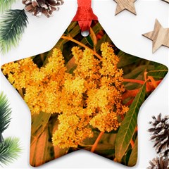 Yellow Sideways Sumac Ornament (star) by okhismakingart