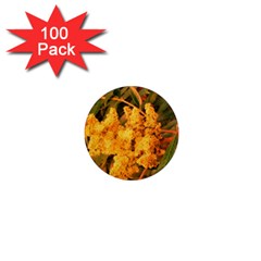 Yellow Sideways Sumac 1  Mini Magnets (100 Pack)  by okhismakingart