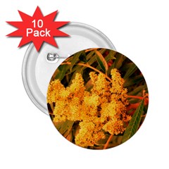 Yellow Sideways Sumac 2 25  Buttons (10 Pack)  by okhismakingart