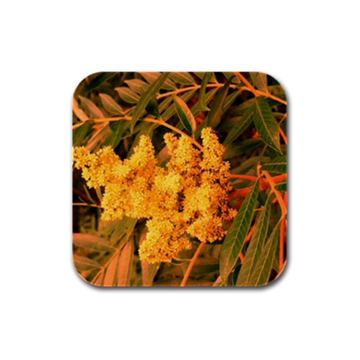 Yellow Sideways Sumac Rubber Square Coaster (4 pack) 