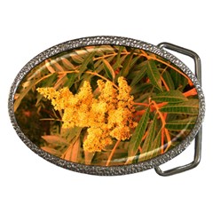 Yellow Sideways Sumac Belt Buckles by okhismakingart