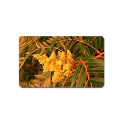 Yellow Sideways Sumac Magnet (name Card) by okhismakingart