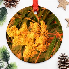 Yellow Sideways Sumac Round Ornament (two Sides) by okhismakingart