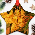 Yellow Sideways Sumac Star Ornament (Two Sides) Back