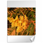 Yellow Sideways Sumac Canvas 20  x 30  19.62 x28.9  Canvas - 1