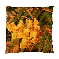 Yellow Sideways Sumac Standard Cushion Case (one Side) by okhismakingart