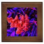 Red and Blue Sideways Sumac Framed Tiles Front