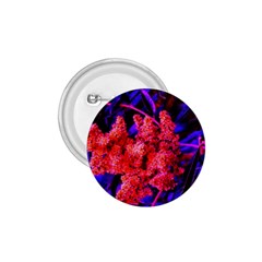 Red And Blue Sideways Sumac 1 75  Buttons by okhismakingart