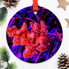 Red And Blue Sideways Sumac Ornament (round) by okhismakingart