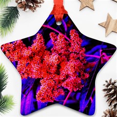 Red And Blue Sideways Sumac Ornament (star) by okhismakingart